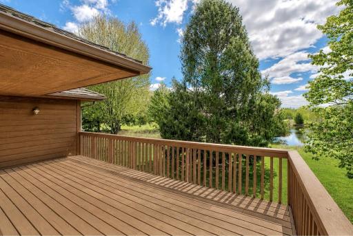 20 Anemone Circle, Saint Paul, MN 55127