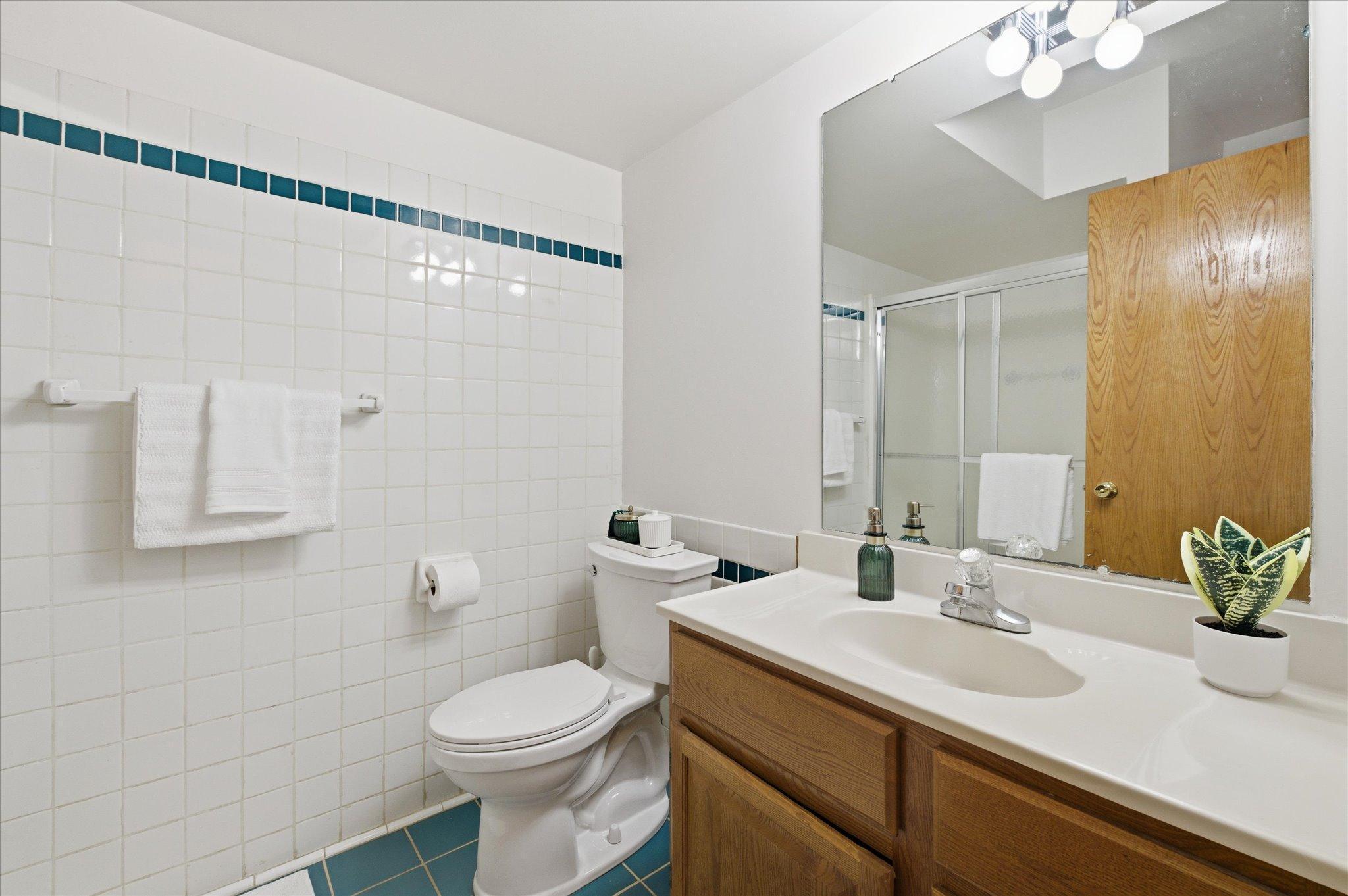 lower level 3/4 bath