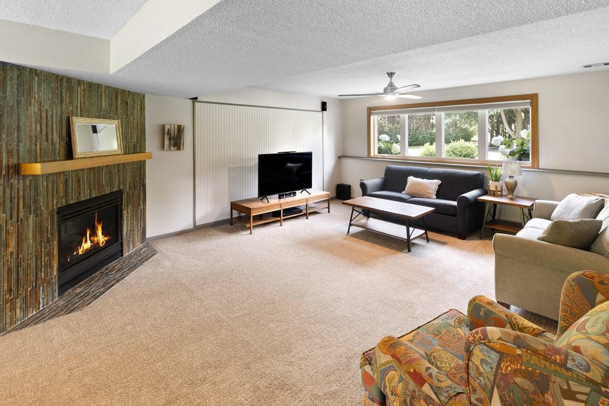 Family Room - lower level