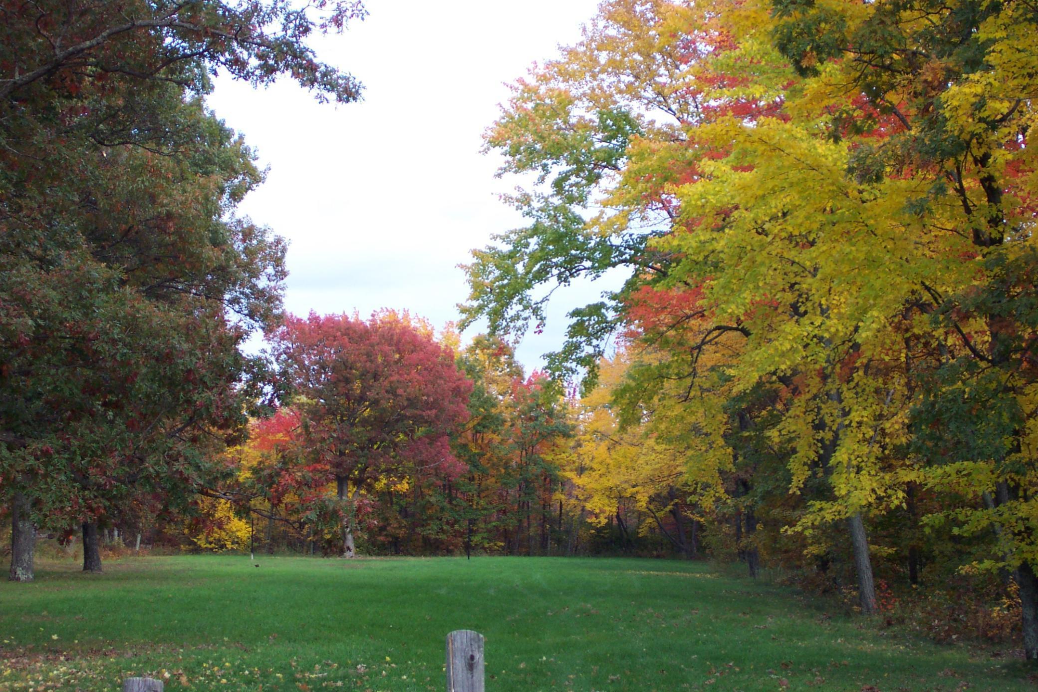 Shared space for leisure activities (yard games, volleyball, etc)
