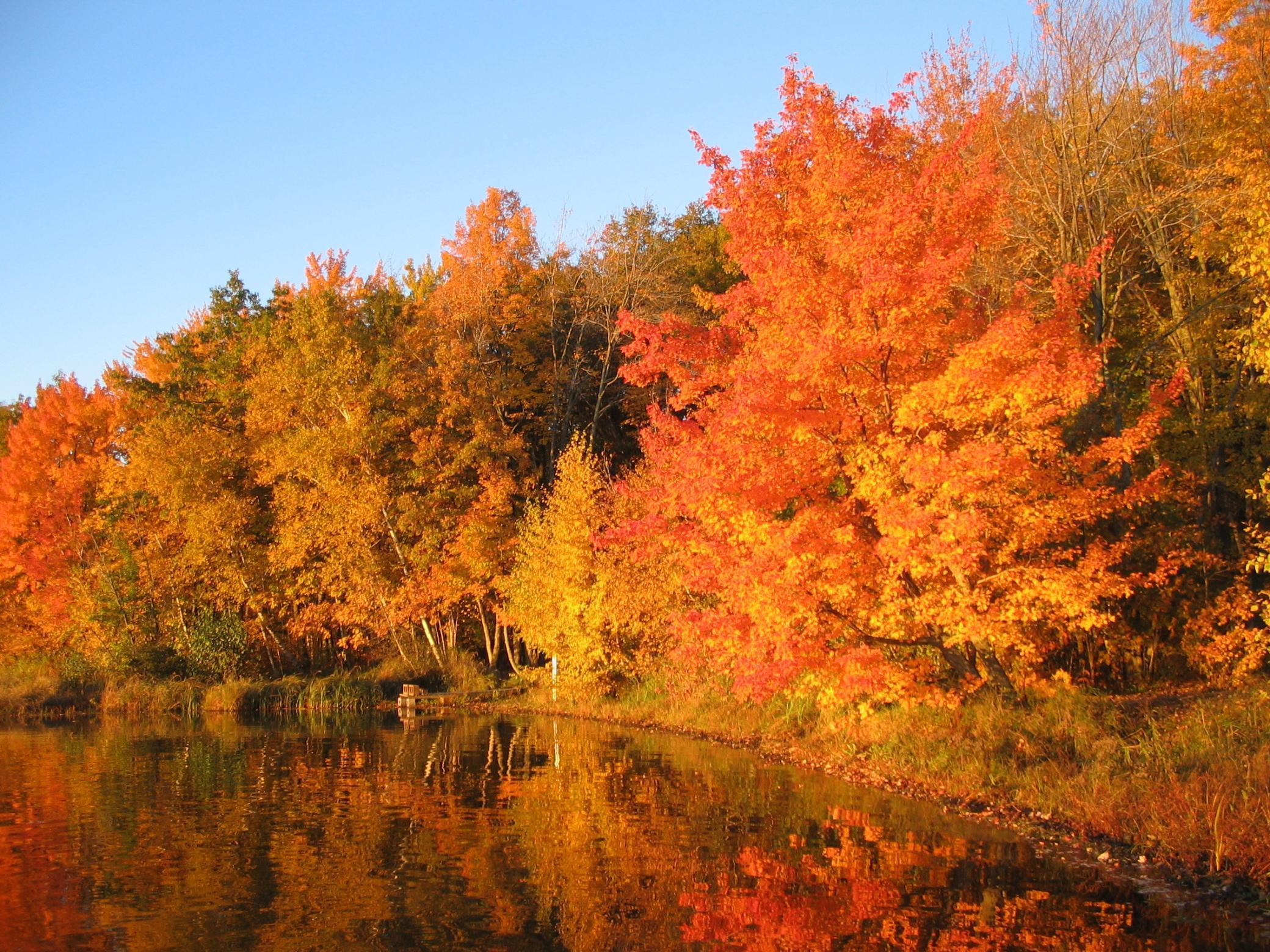Gorgeous falls colors on the lake
