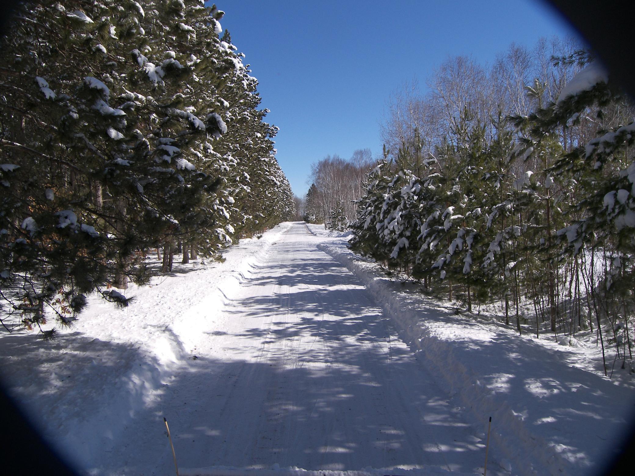 Build a year-round cabin!