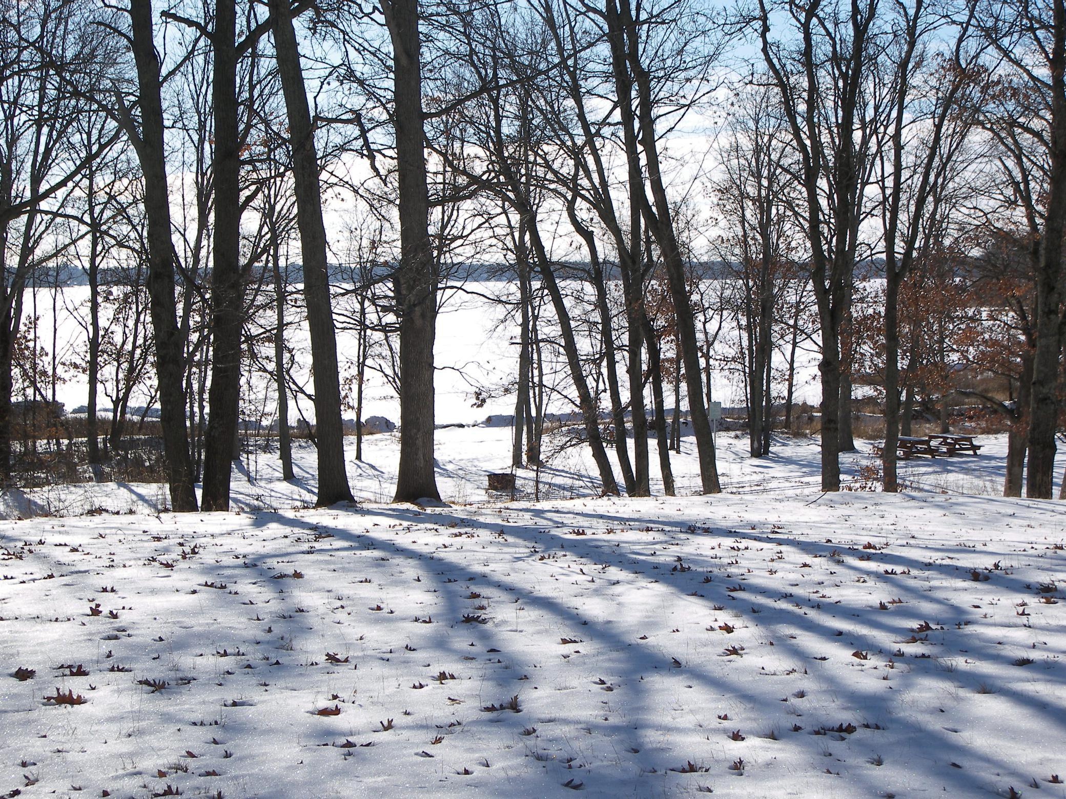 Delight in the gorgeous winters