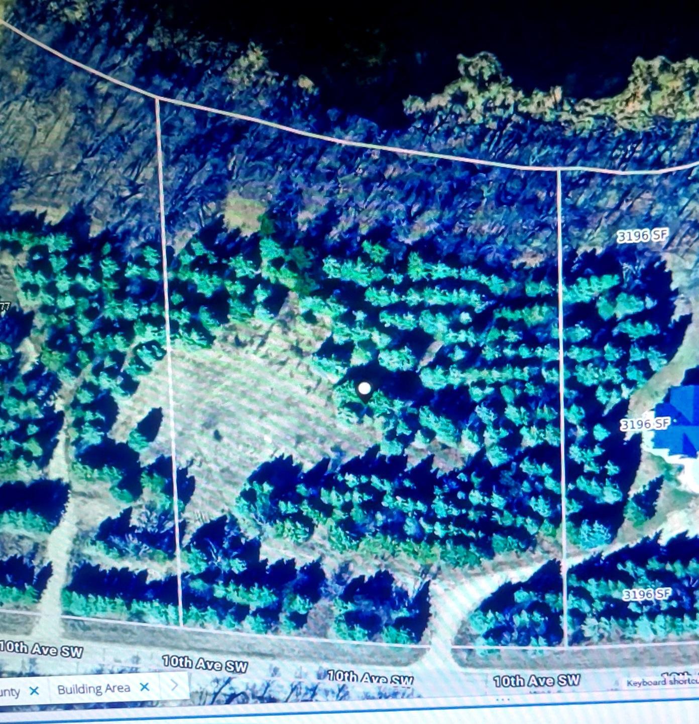 20260121_161109.jpg