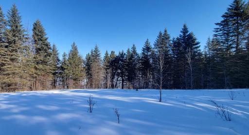 TBD 10th Avenue, Alexandria, MN 56308