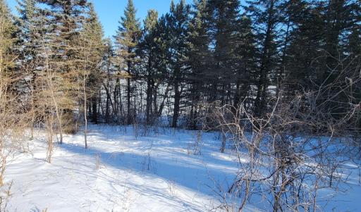 TBD 10th Avenue, Alexandria, MN 56308
