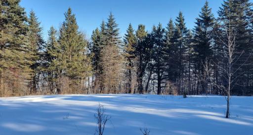 TBD 10th Avenue, Alexandria, MN 56308