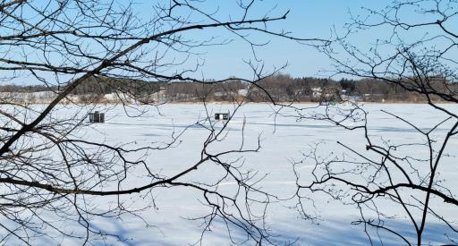 TBD 10th Avenue, Alexandria, MN 56308