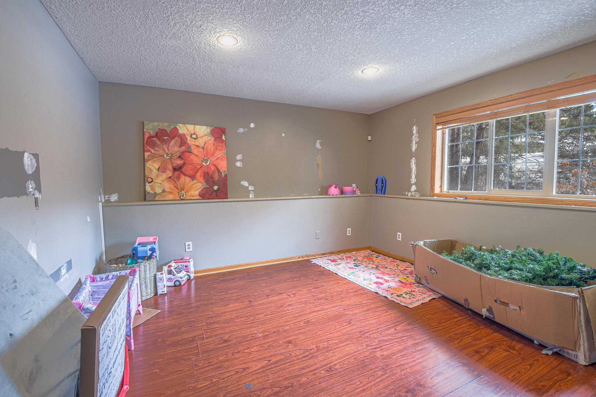 Lower Level Family Room