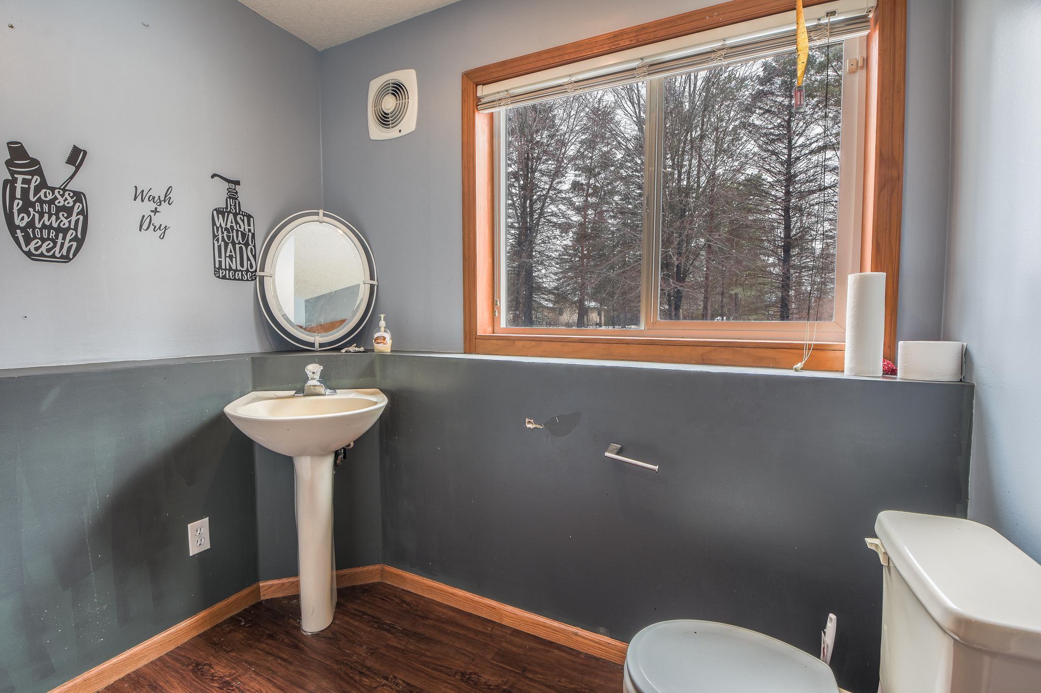 Lower Level Bathroom