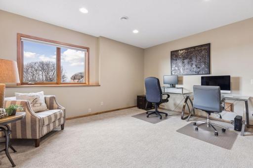 Lower level fourth bedroom with pass through bath and a huge walk in closet. Extra space in the closet could also be used to convert into a sauna.