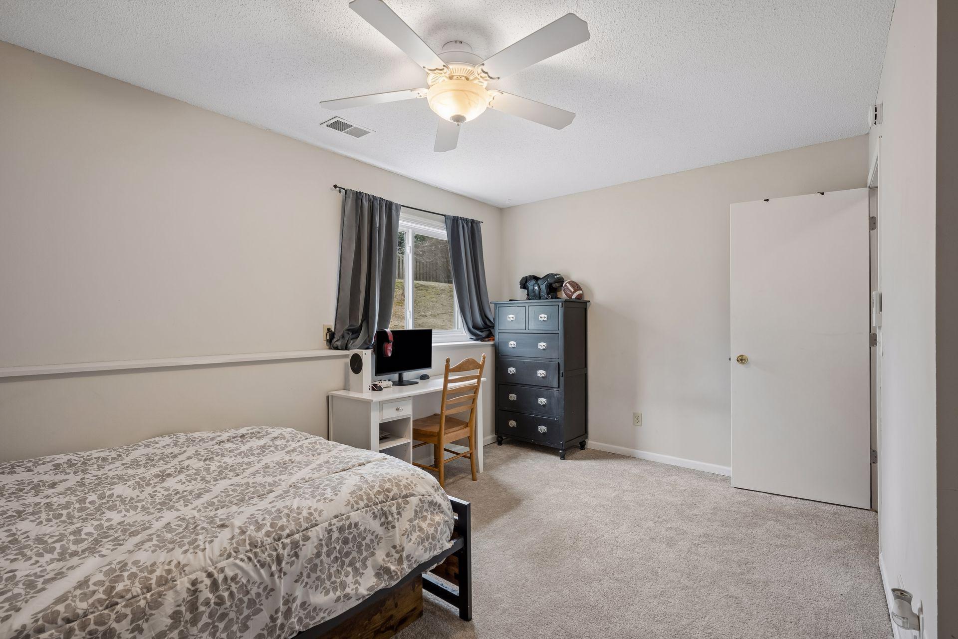 Bedroom 3 - lower level