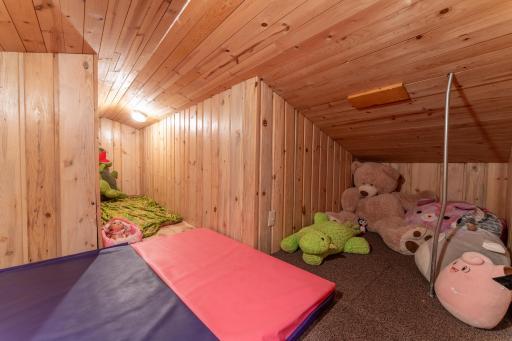 16196 Zigmund Drive, Fifty Lakes, MN 56448