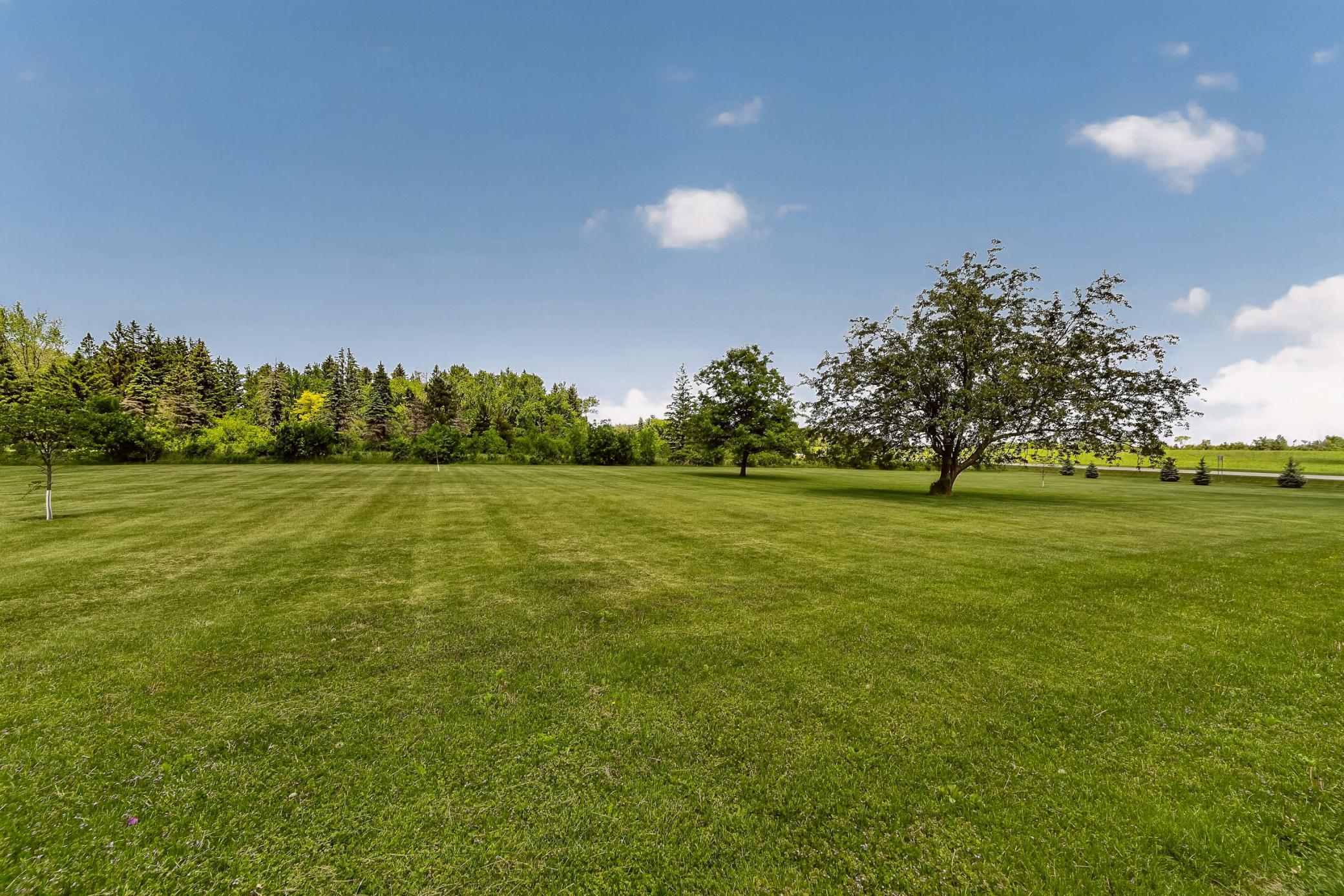 Back yard 2.jpg