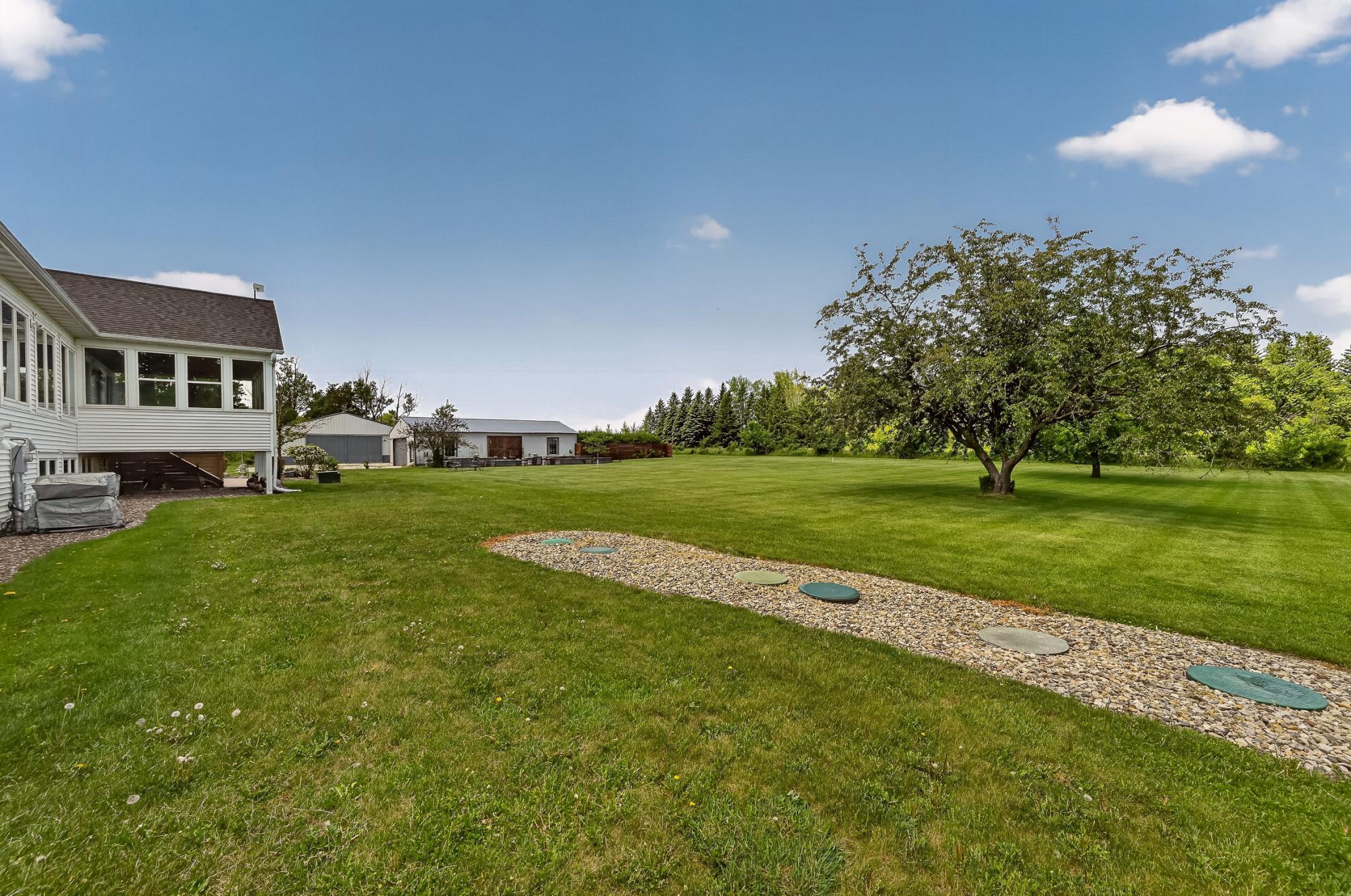 Back yard.jpg