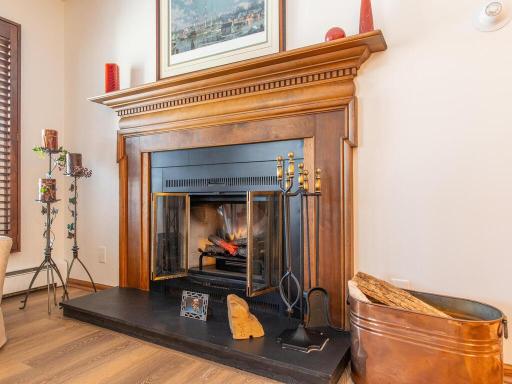 2020 St Albans Mill Rd Minnetonka MN 55305 USA-010-028-Fireplace-MLS_Size.jpg