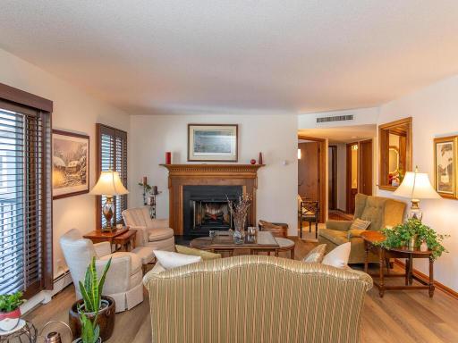 2020 St Albans Mill Rd Minnetonka MN 55305 USA-011-001-Living Room-MLS_Size.jpg