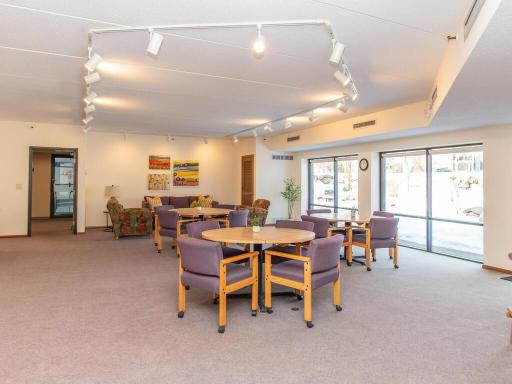 2020 St Albans Mill Rd Minnetonka MN 55305 USA-028-021-Rec Room-MLS_Size.jpg