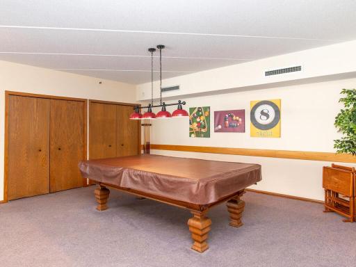 2020 St Albans Mill Rd Minnetonka MN 55305 USA-026-031-Rec Room-MLS_Size.jpg