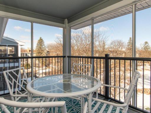 2020 St Albans Mill Rd Minnetonka MN 55305 USA-018-010-Deck-MLS_Size.jpg