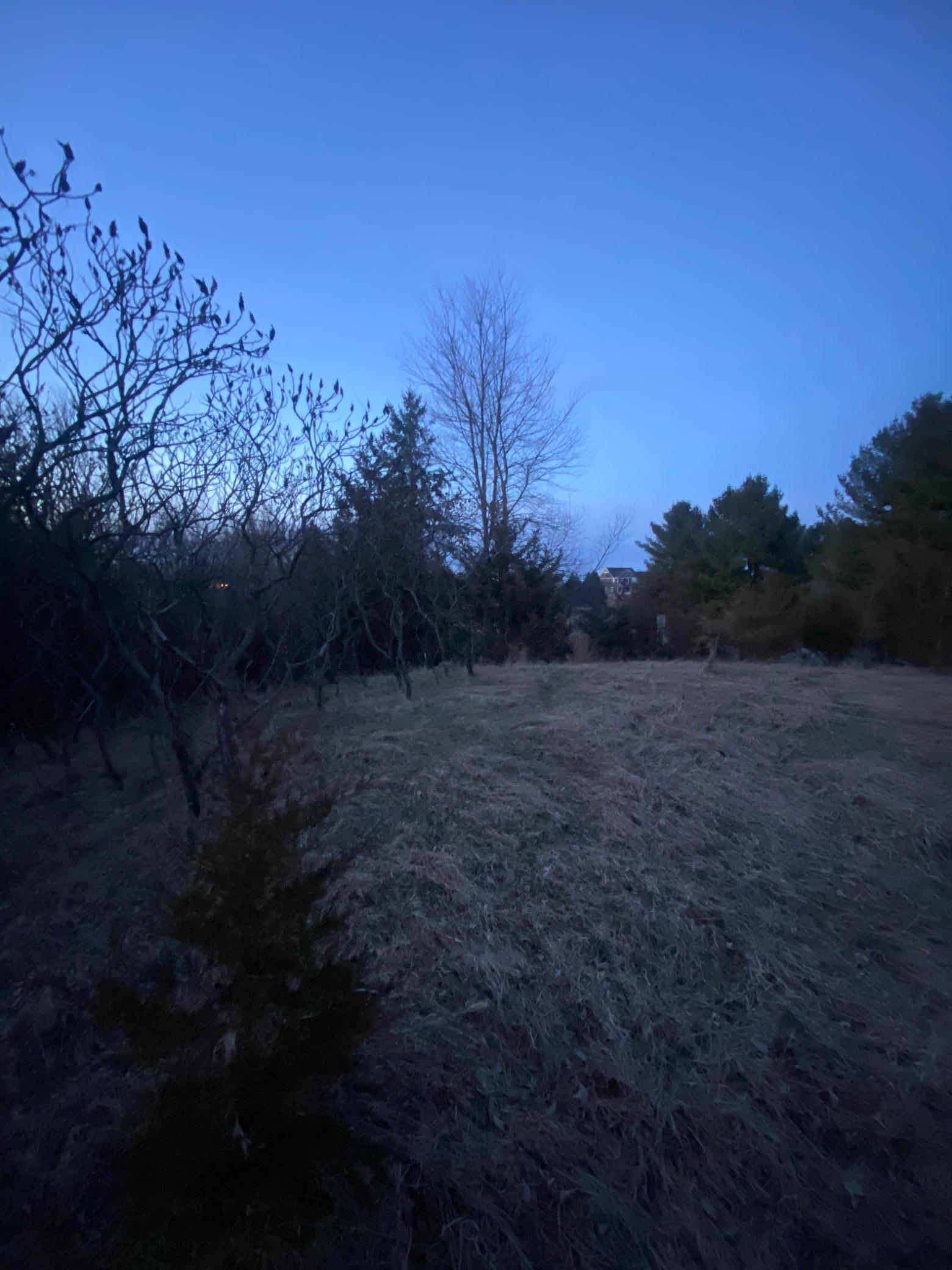 Your very own hilltop.jpeg