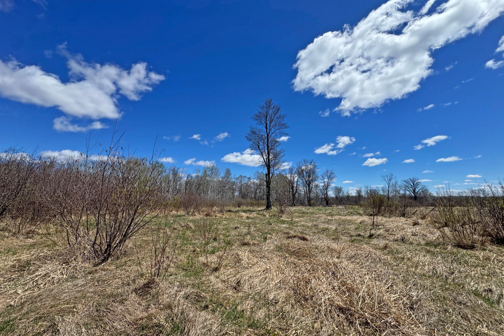 24-Carlton-Spring-120-Land-17.JPG
