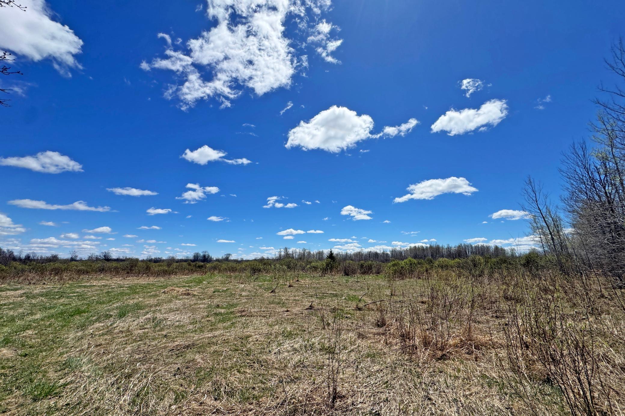 20-Carlton-Spring-120-Land-13.JPG