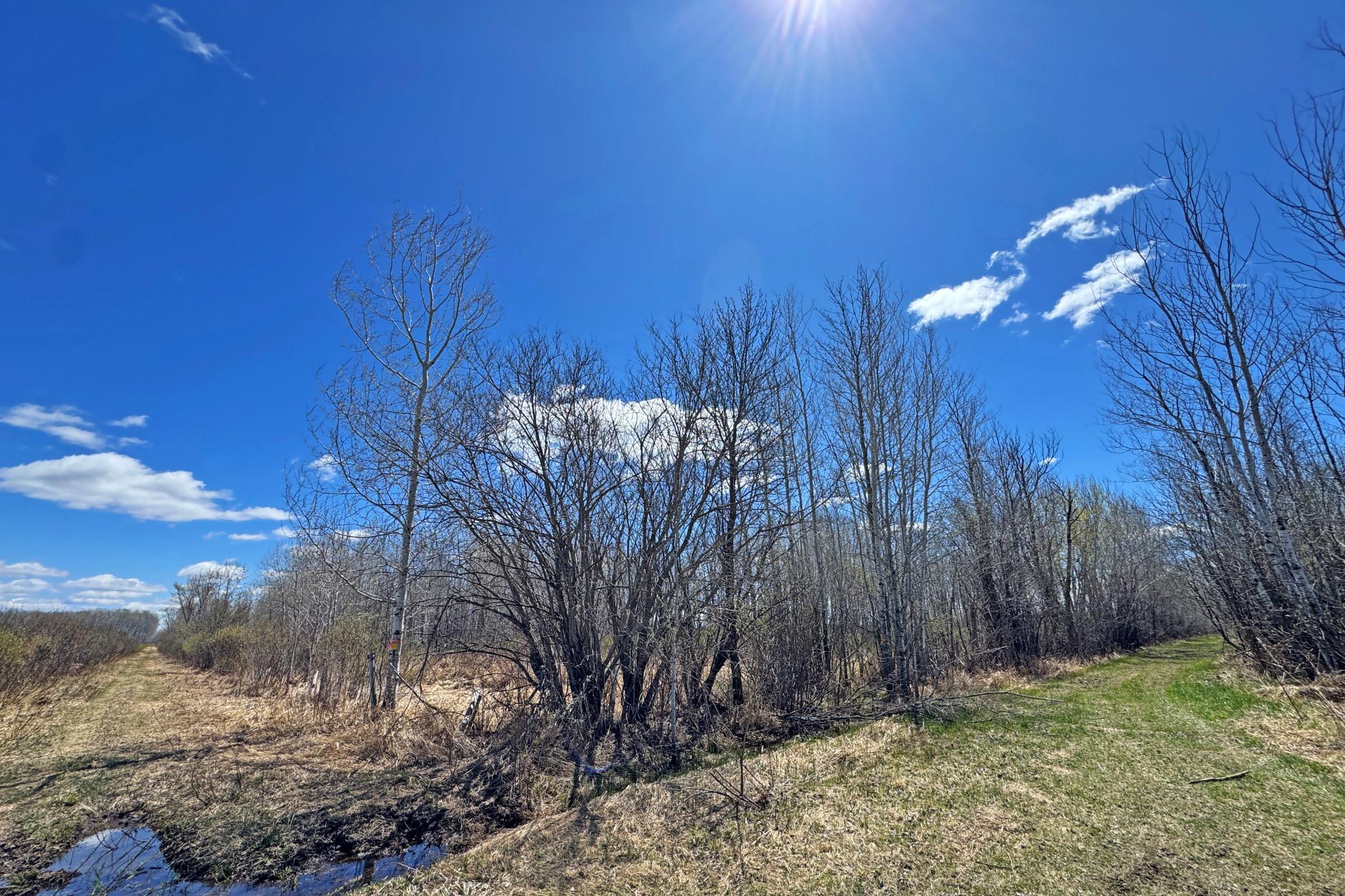 26-Carlton-Spring-120-Land-19.JPG