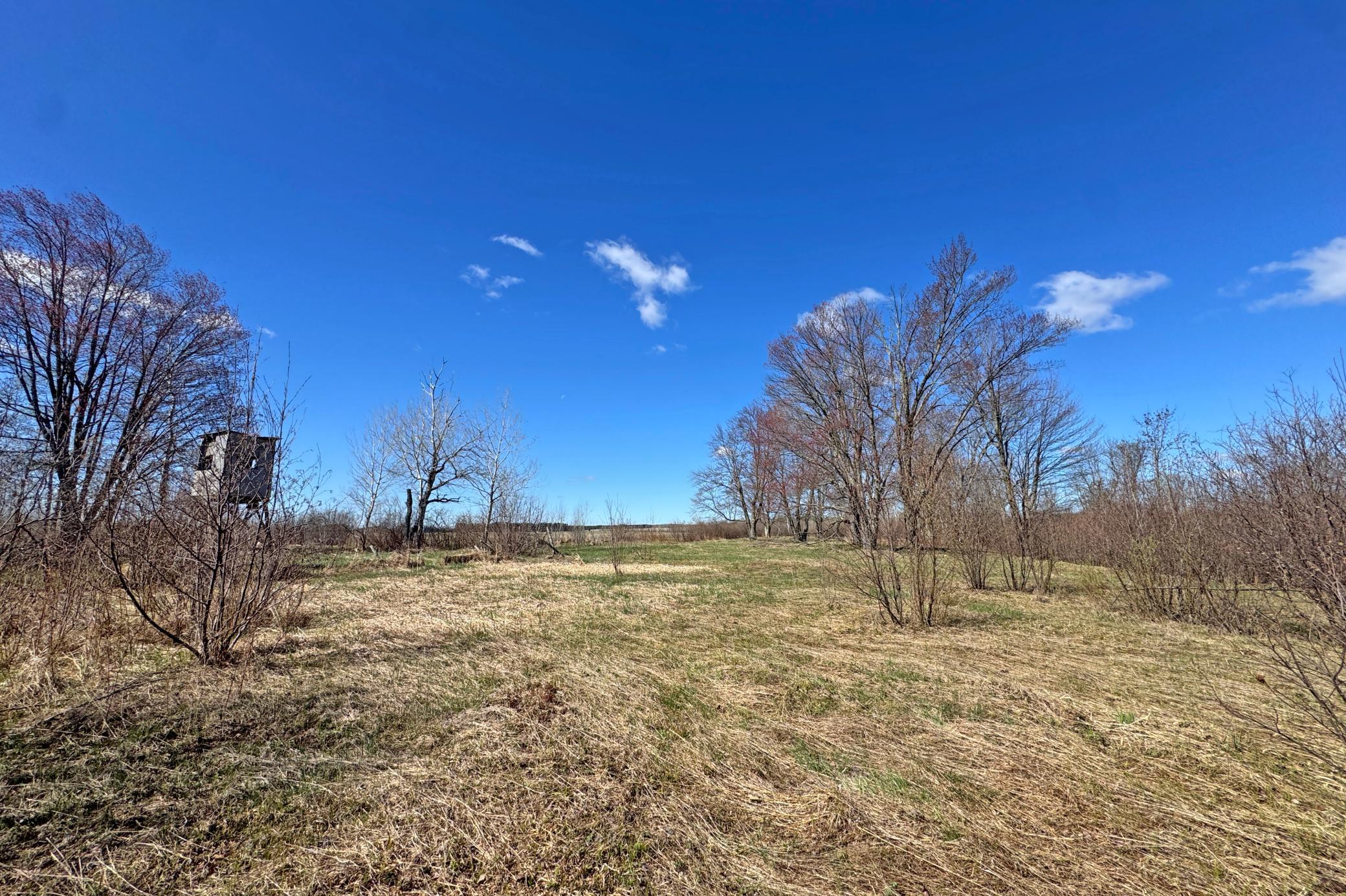 09-Carlton-Spring-120-Land-02.JPG
