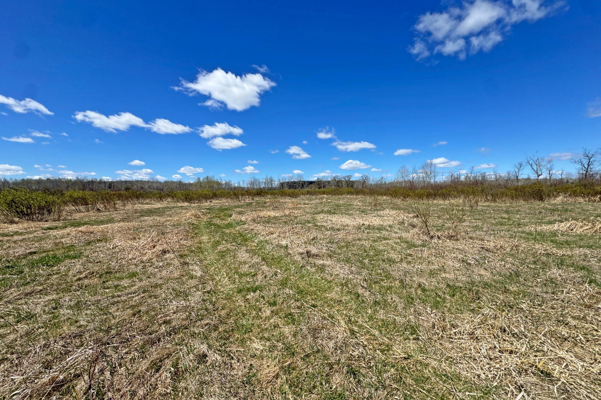 25-Carlton-Spring-120-Land-18.JPG