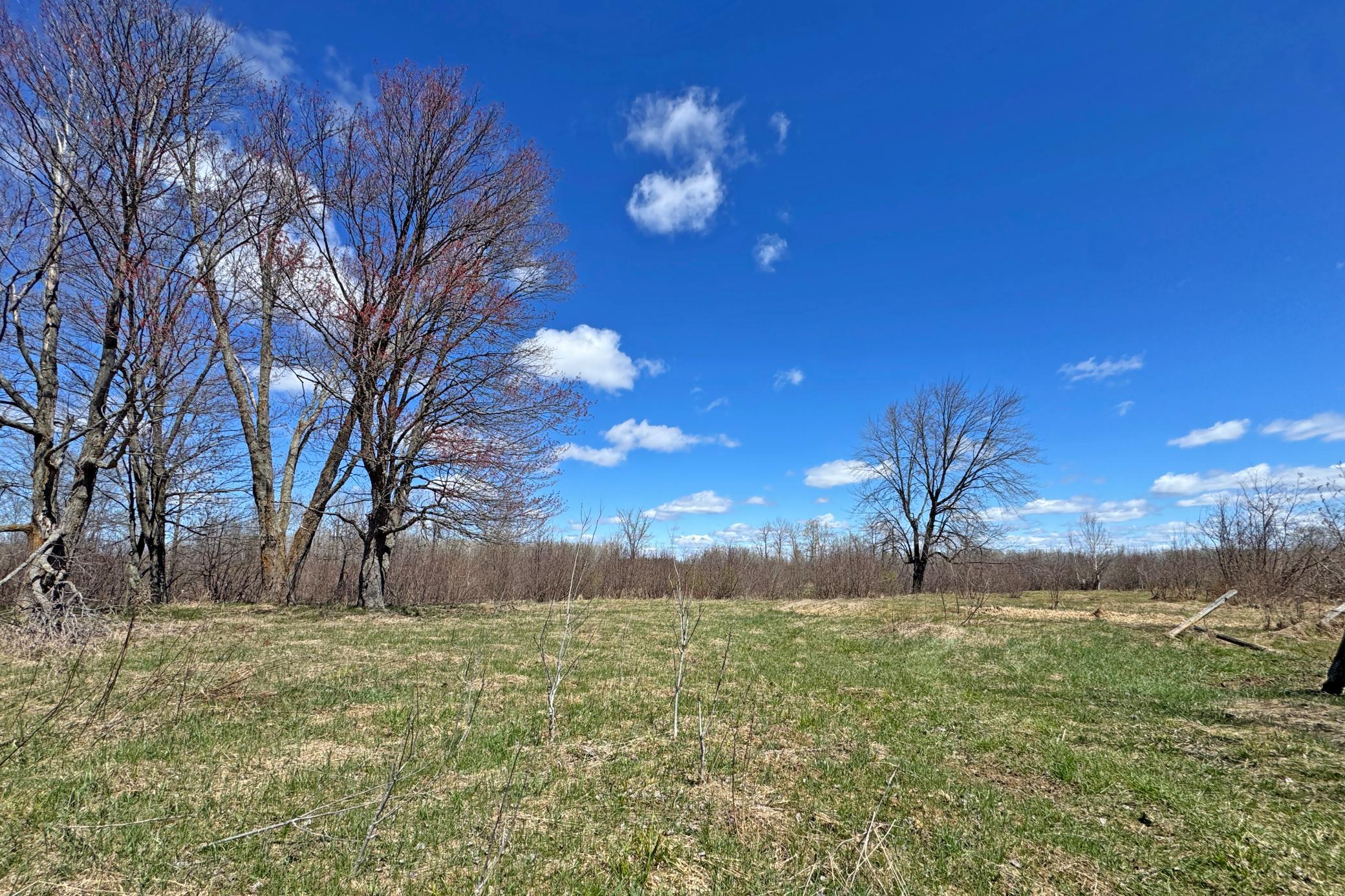 15-Carlton-Spring-120-Land-08.JPG