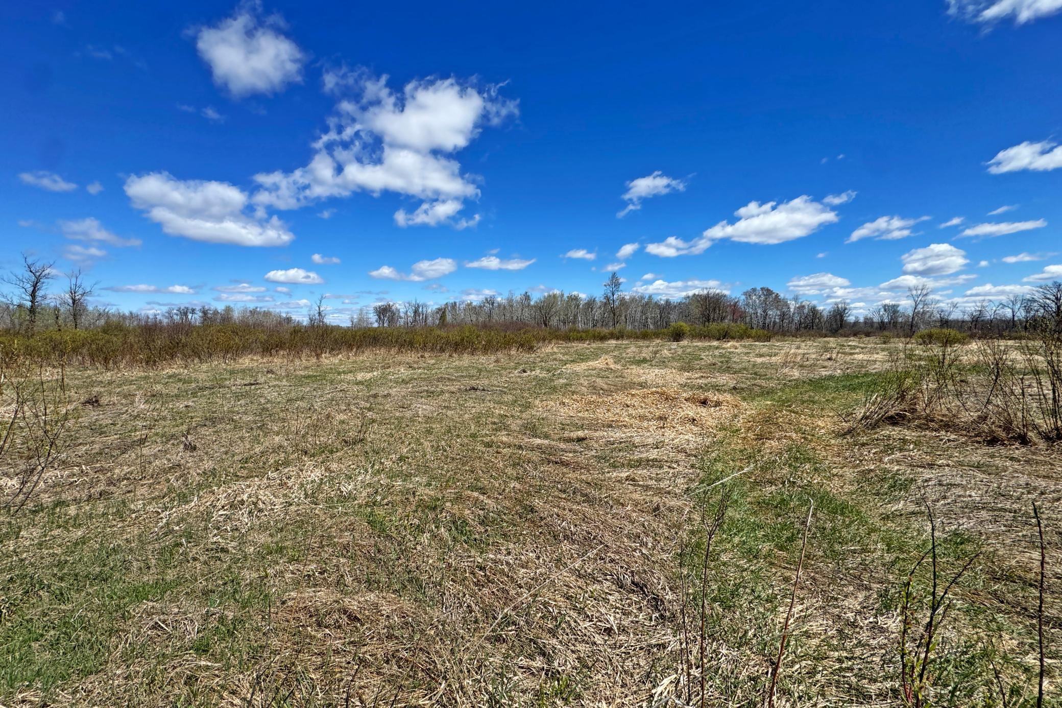22-Carlton-Spring-120-Land-15.JPG