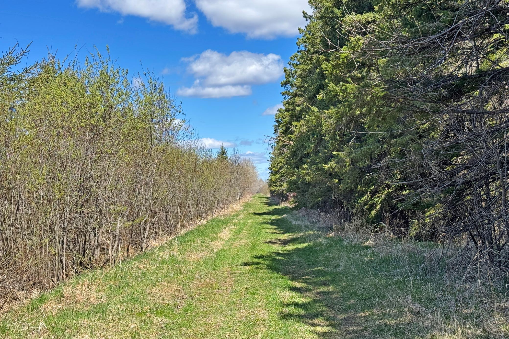 18-Carlton-Spring-120-Land-11.JPG