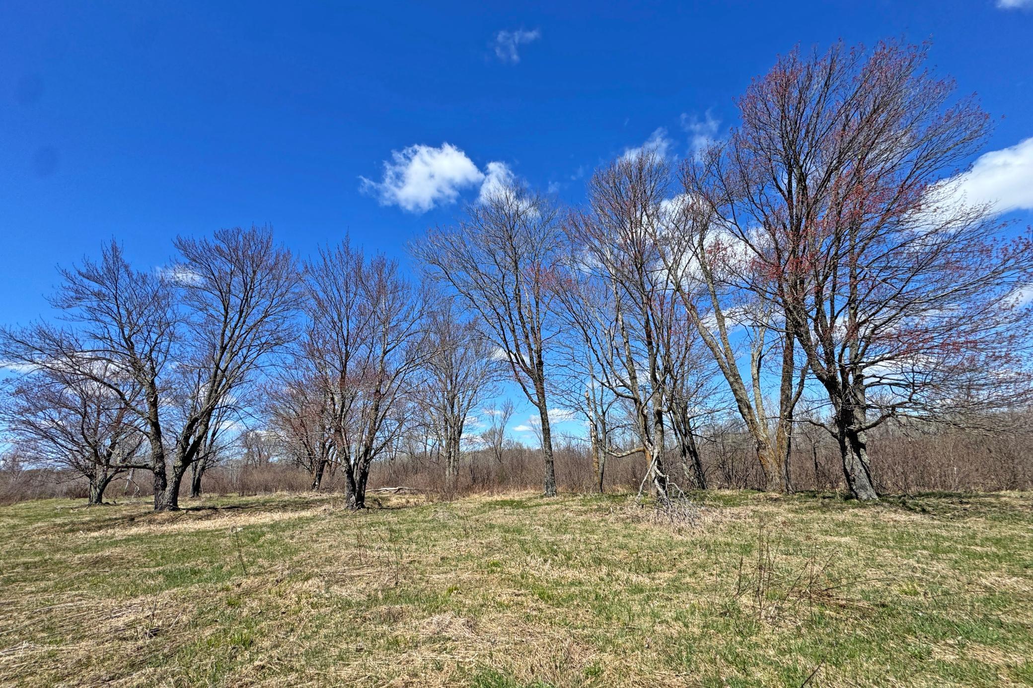 14-Carlton-Spring-120-Land-07.JPG