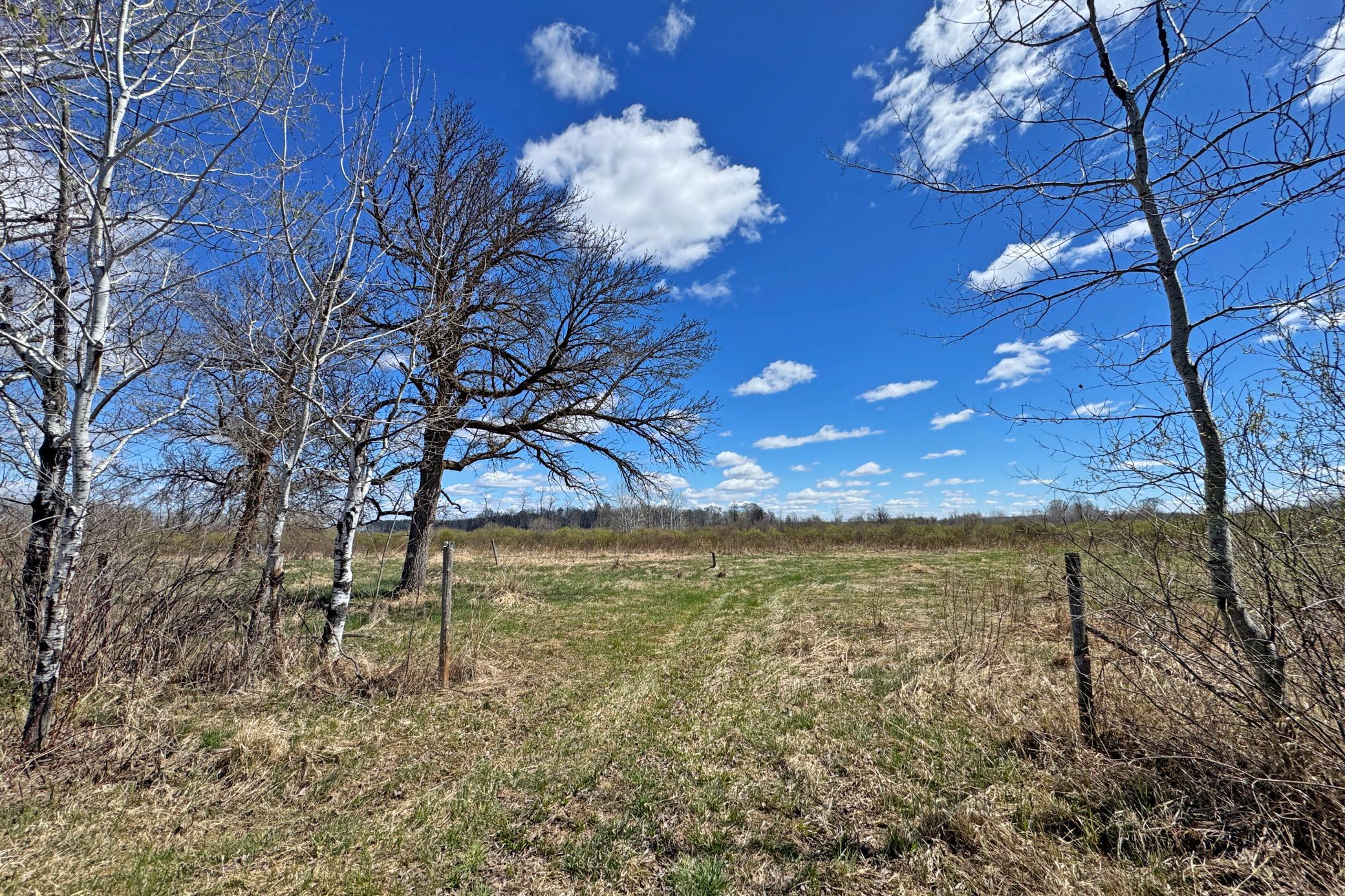 19-Carlton-Spring-120-Land-12.JPG