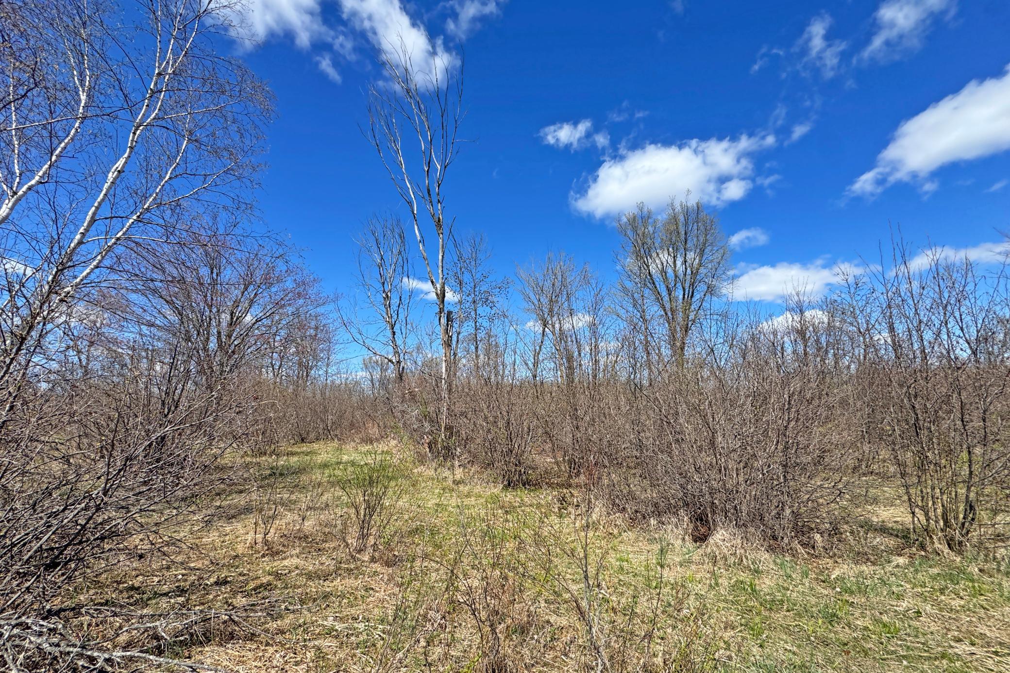 17-Carlton-Spring-120-Land-10.JPG