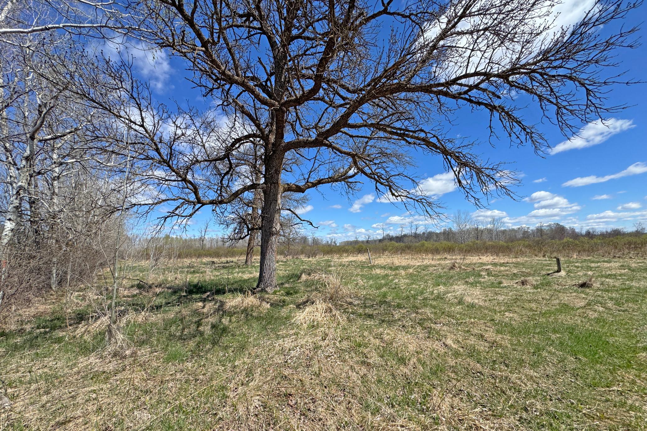 21-Carlton-Spring-120-Land-14.JPG