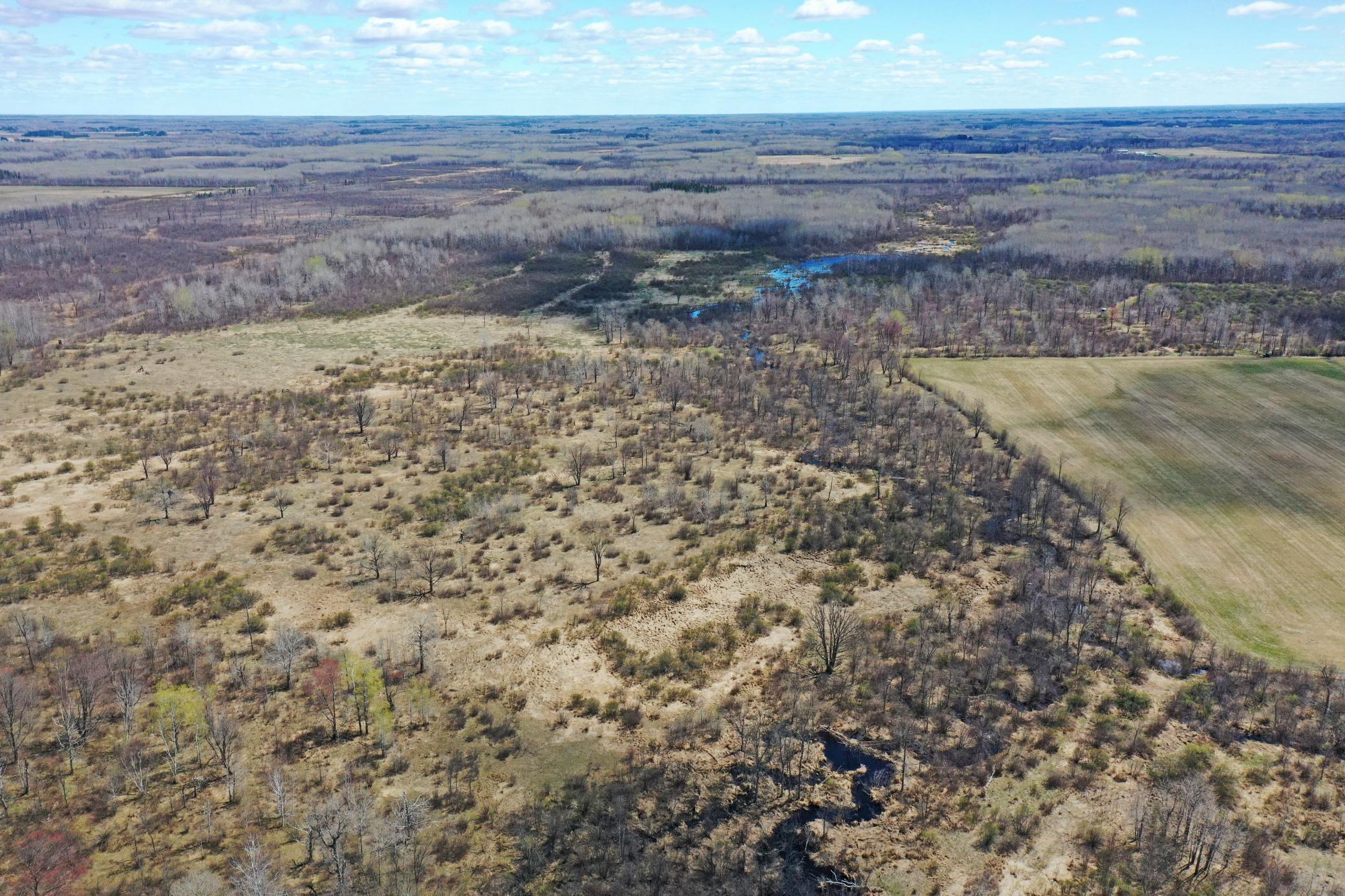 07-Carlton-Spring-120-Aerial-07.JPG
