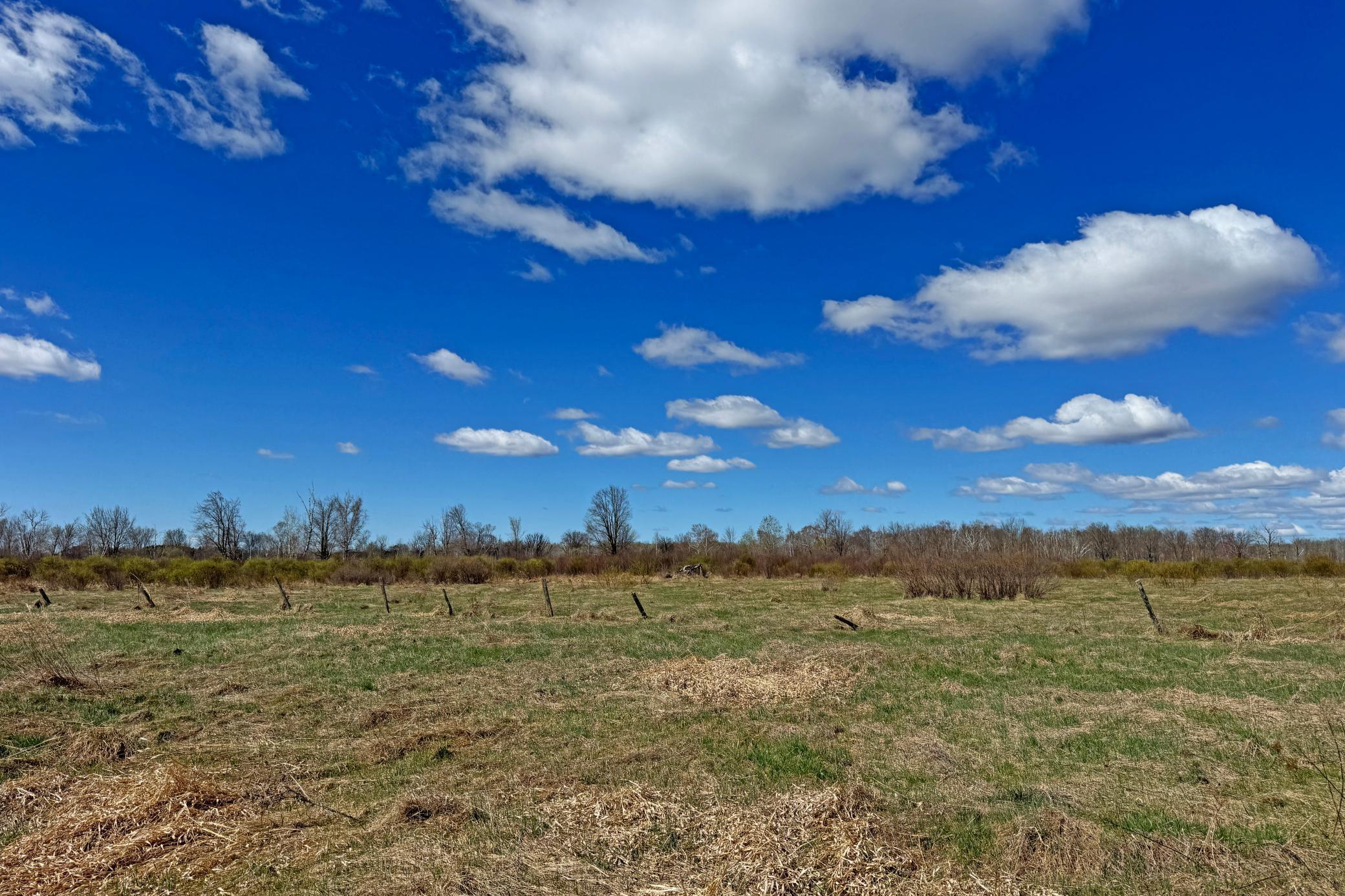 11-Carlton-Spring-120-Land-04.JPG