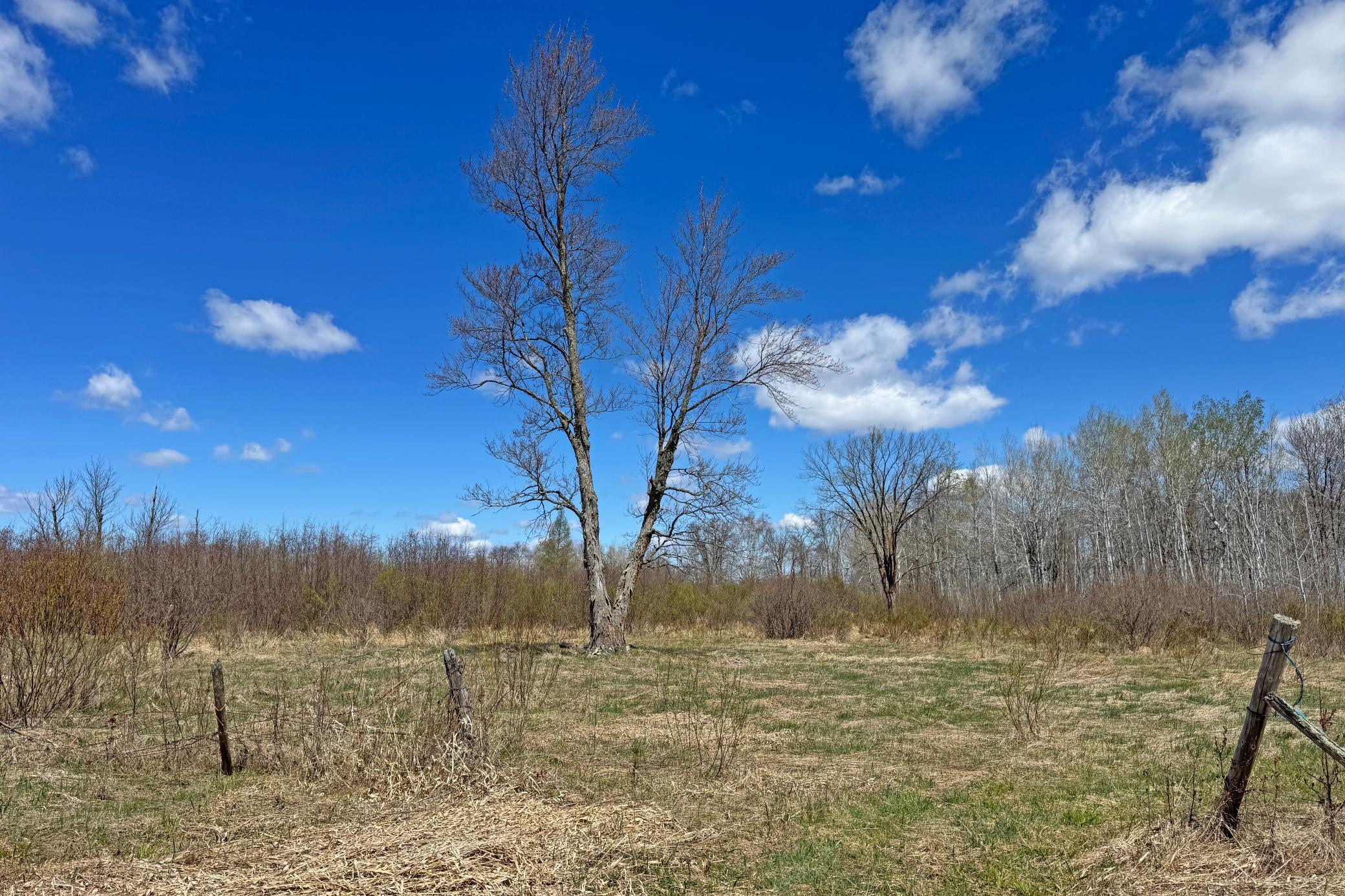 23-Carlton-Spring-120-Land-16.JPG