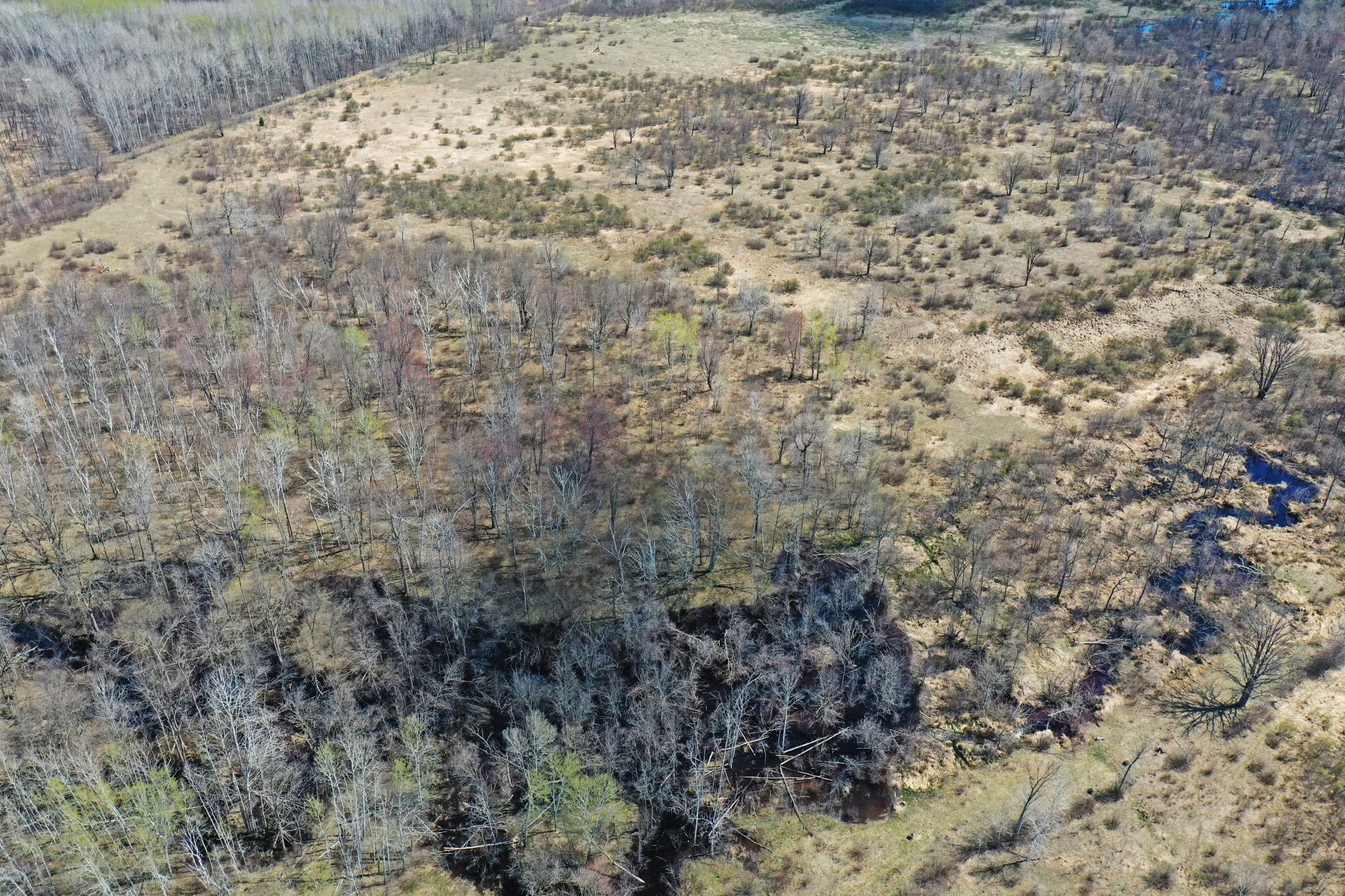 06-Carlton-Spring-120-Aerial-06.JPG