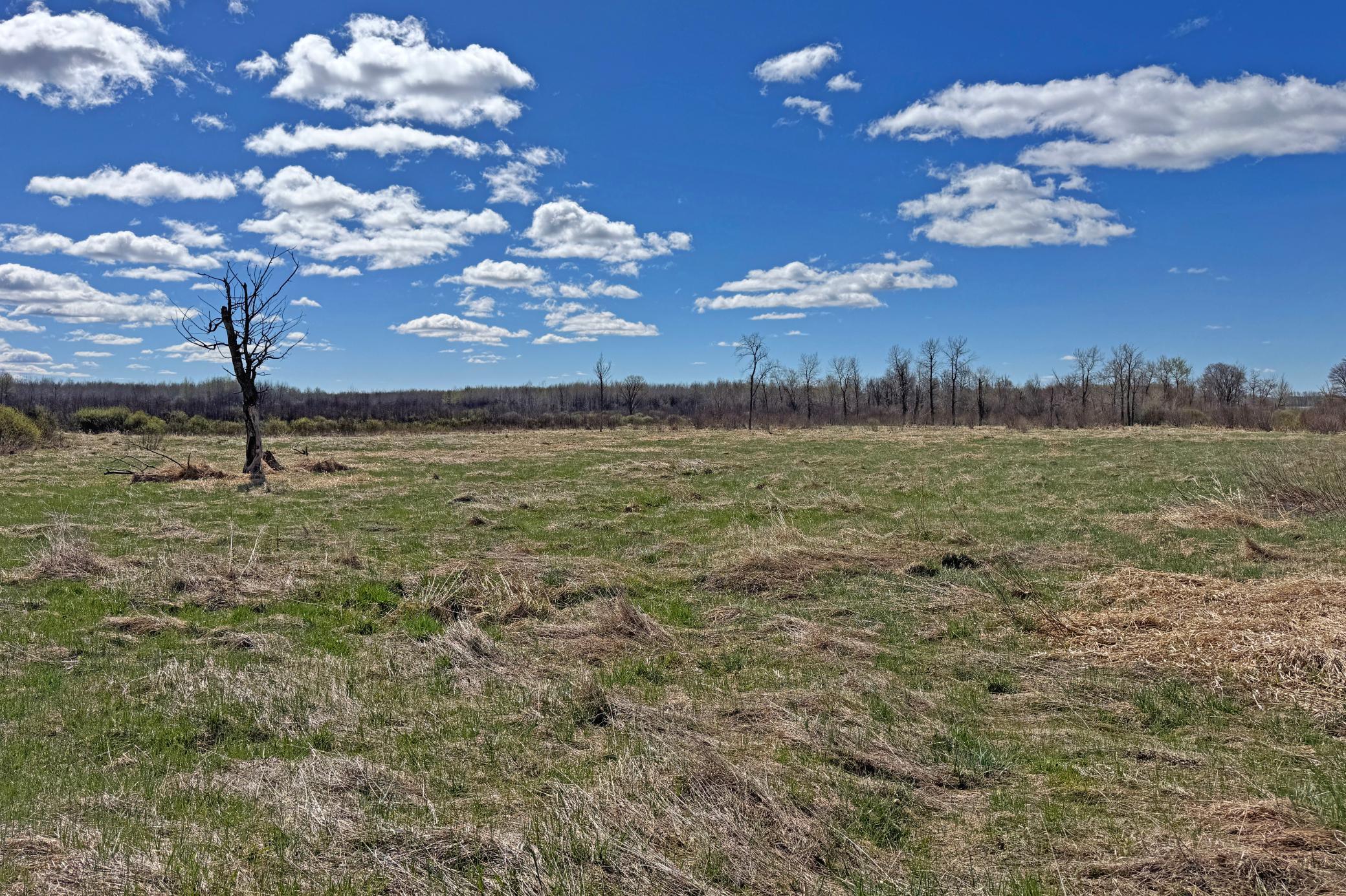12-Carlton-Spring-120-Land-05.JPG