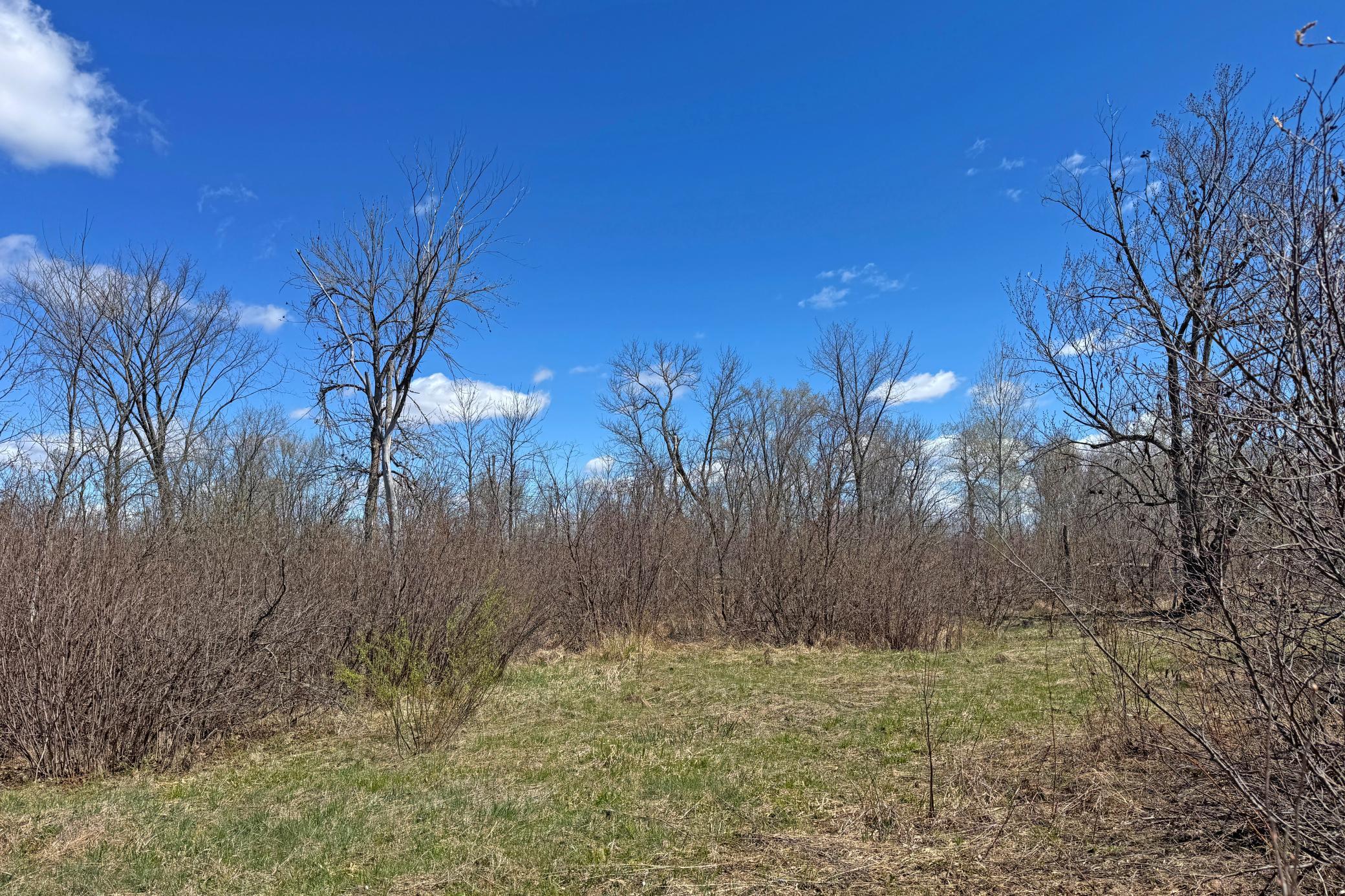 16-Carlton-Spring-120-Land-09.JPG