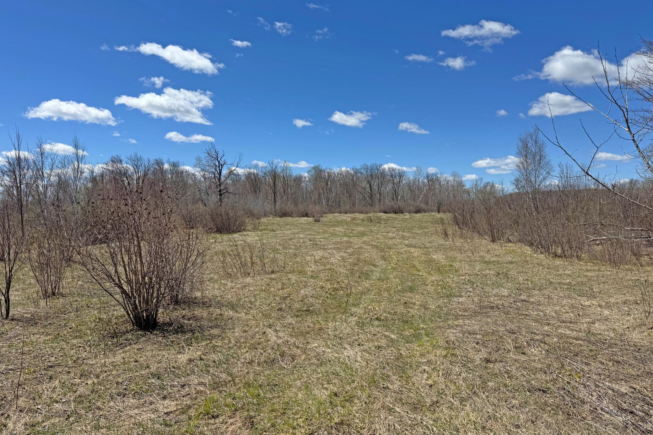 27-Carlton-Spring-120-Land-20.JPG