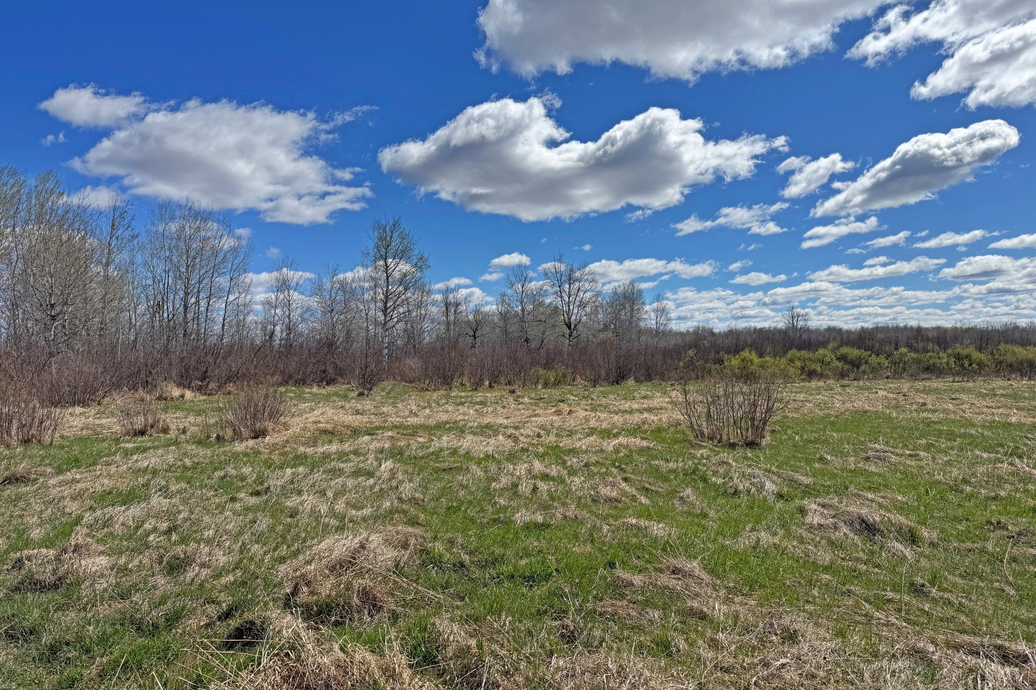 13-Carlton-Spring-120-Land-06.JPG