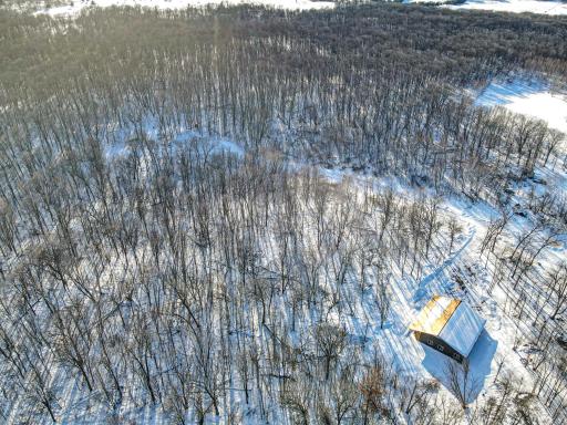 DJI_0966.jpg