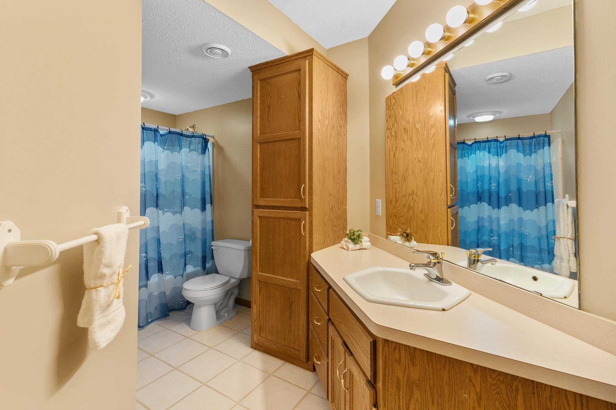 Lower level full bathroom