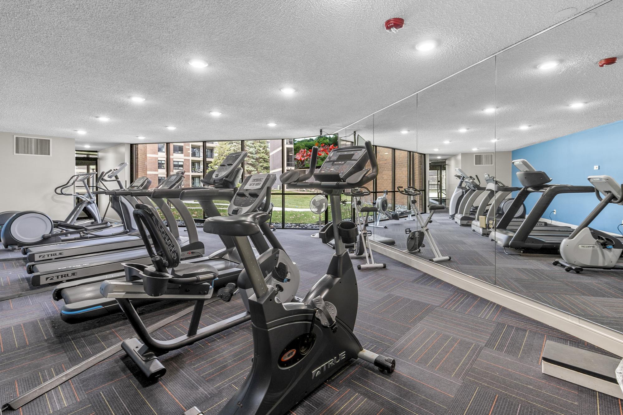 Bike -treadmill - cardio room