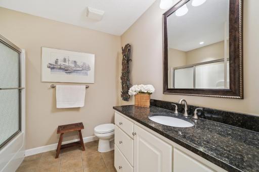 Lower level bathroom