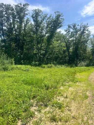 27536 Norway Trail, Randall, MN 56475